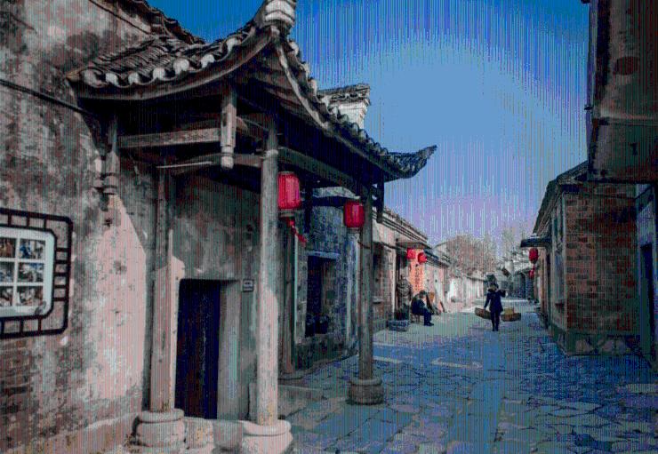 失忆的流浪者